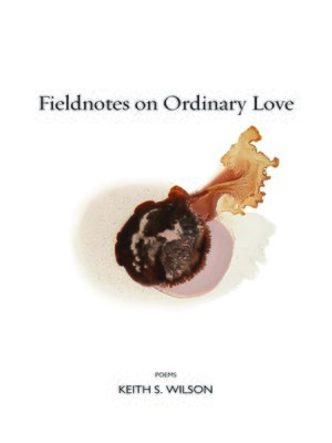 cover image of Fieldnotes on Ordinary Love